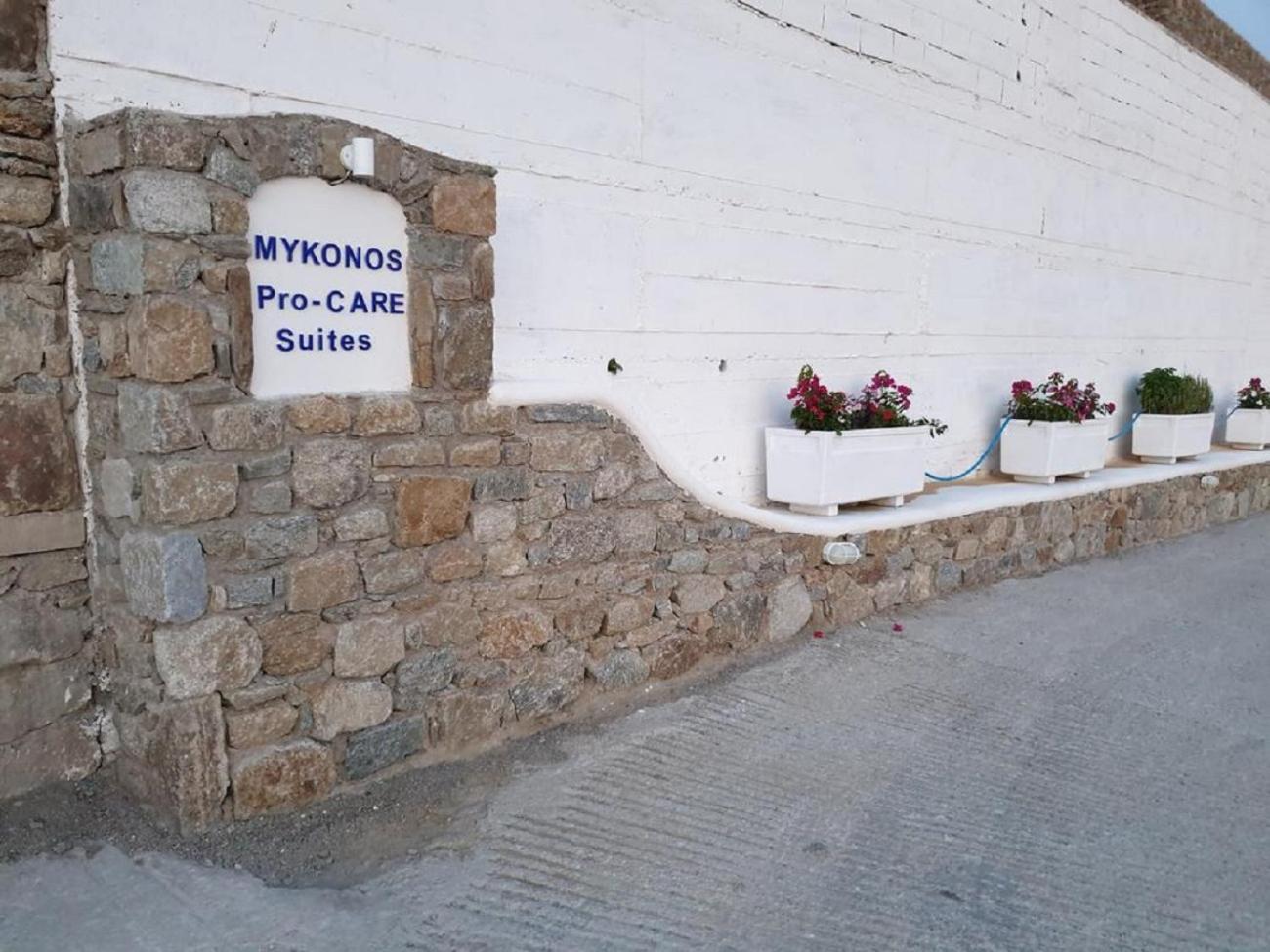 Mykonos Pro-Care Suites Ano Mera Eksteriør bilde