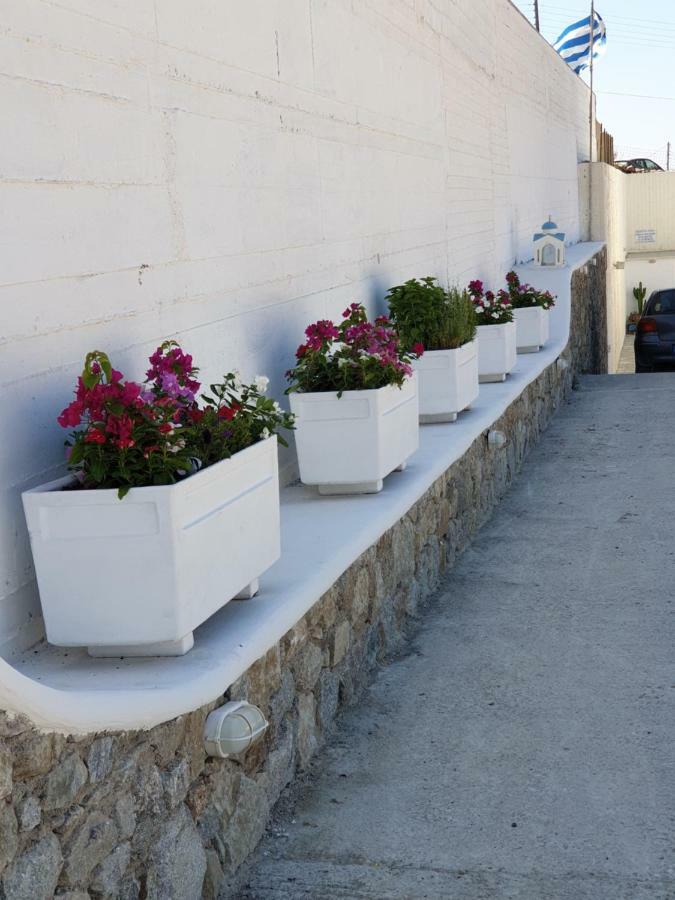 Mykonos Pro-Care Suites Ano Mera Eksteriør bilde